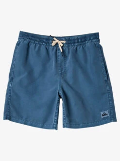 Quiksilver Boys 8-16 Everyday Surfwash Swim Shorts