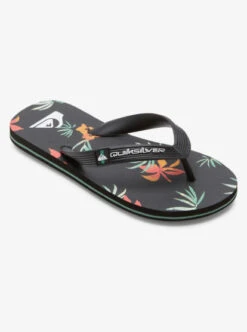 Quiksilver Boys Molokai Art Beach Flip-Flops
