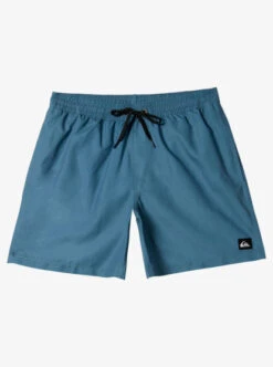 Quiksilver Boys 2-7 Everyday Deluxe Swim Shorts