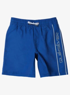 Quiksilver Boys 2-7 Everyday Vert Volley Swim Shorts