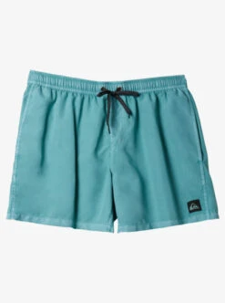 Quiksilver Mens Everyday Surfwash Volley 17" Swim Shorts