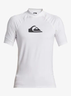 Quiksilver Mens Everyday Short Sleeve UPF 50 Surf T-Shirt