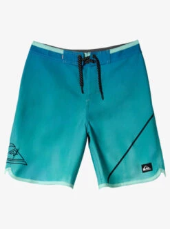 Quiksilver Boys 2-7 Everyday New Wave 12" Board Shorts