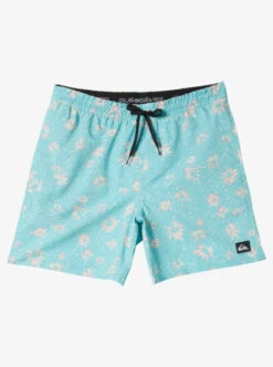 Quiksilver Mens Surfsilk Mix 17" Swim Shorts