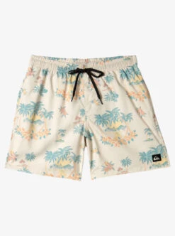 Quiksilver Mens Everyday Mix 17" Swim Shorts